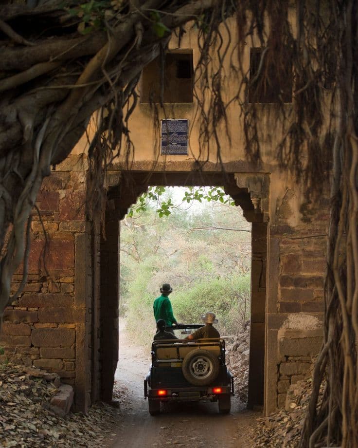 A Gypsy drives through an old stone gateway into the forest