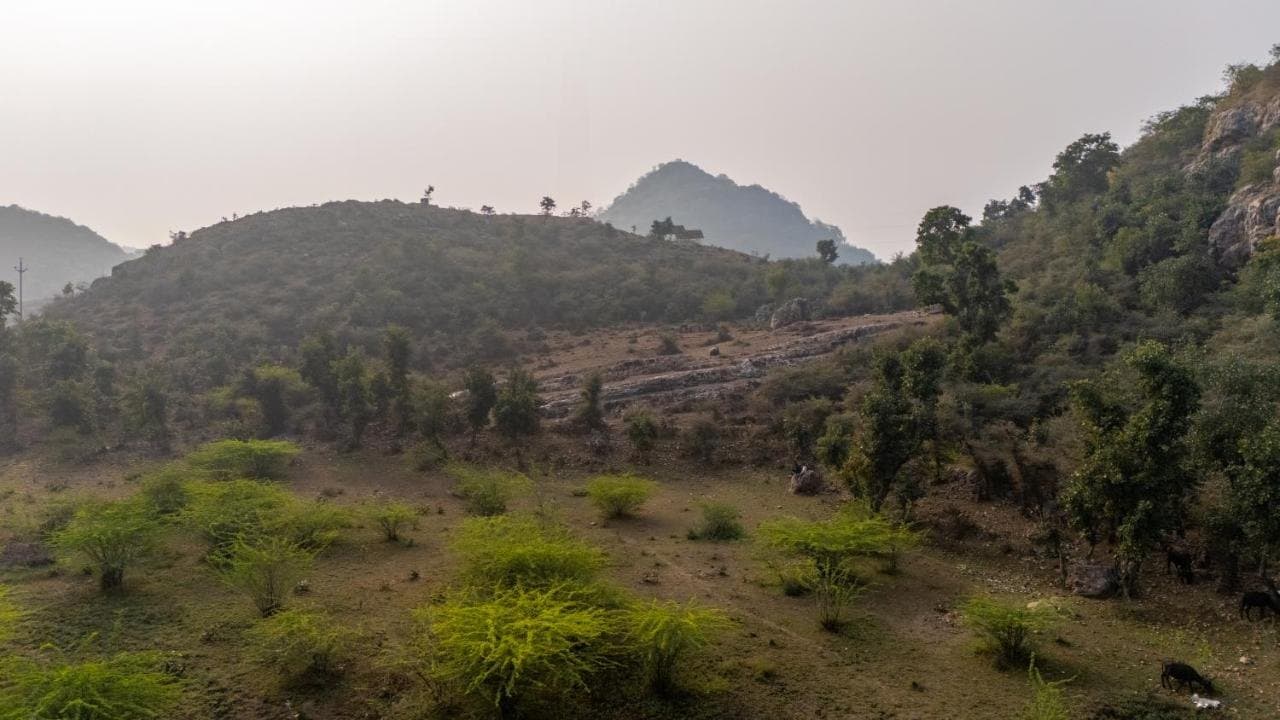 Aravalli hills and dry forest seen from the property